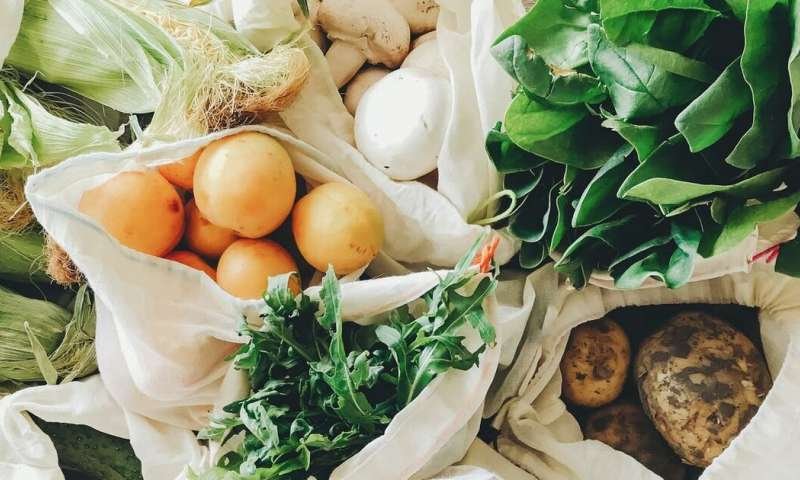 Good Food habits during the Lockdown - Topnochtutorials